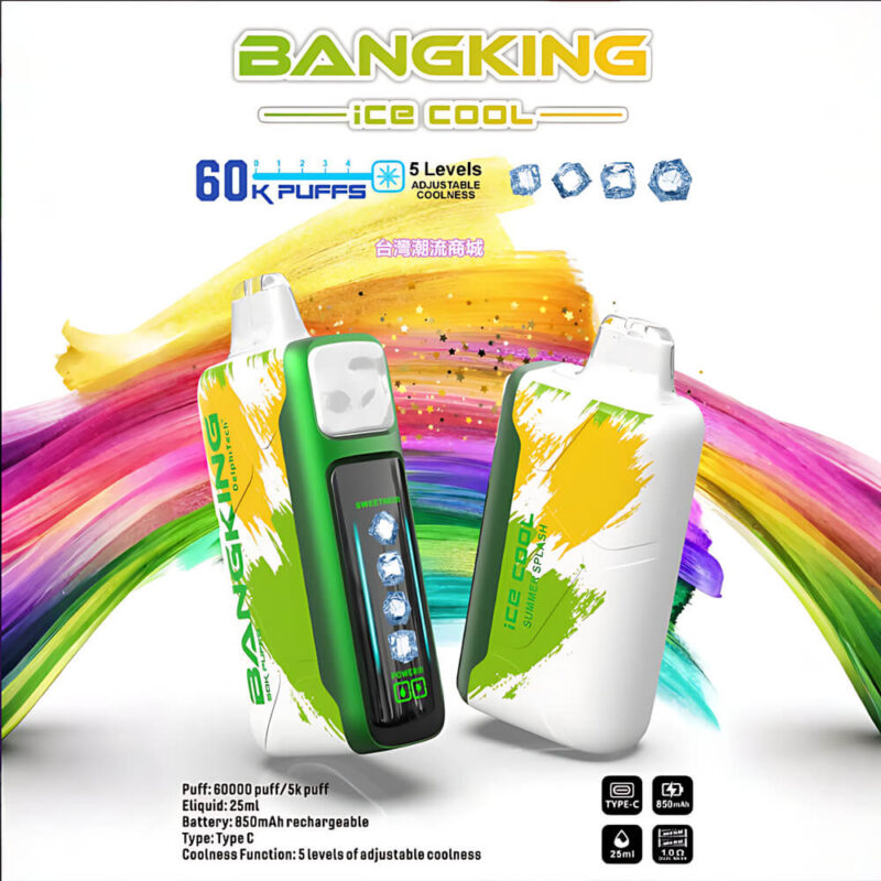Bang King ICE COOL 60000 Puffs拋棄式電子煙 60k口超大容量 五檔涼度可調節一次性電子煙 台灣現貨 711到付|煙潮商城